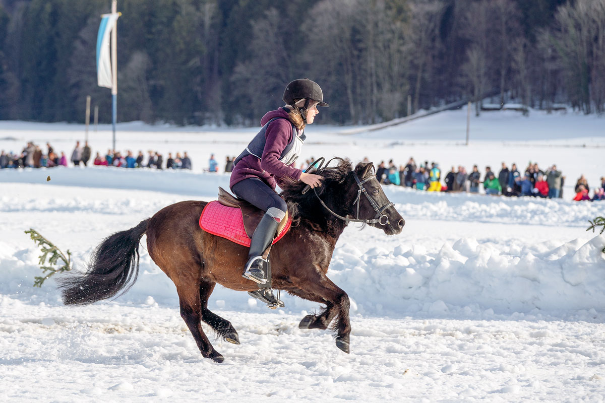 parsberg-pferdeschlittenrennen-2019-11